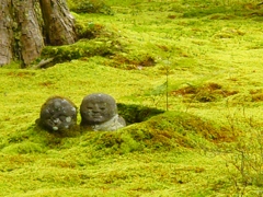 三千院にて