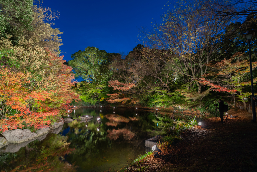 名古屋・白鳥庭園