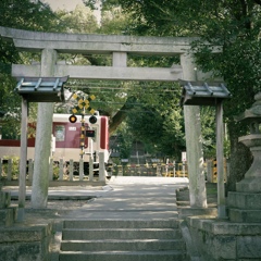 R0000560