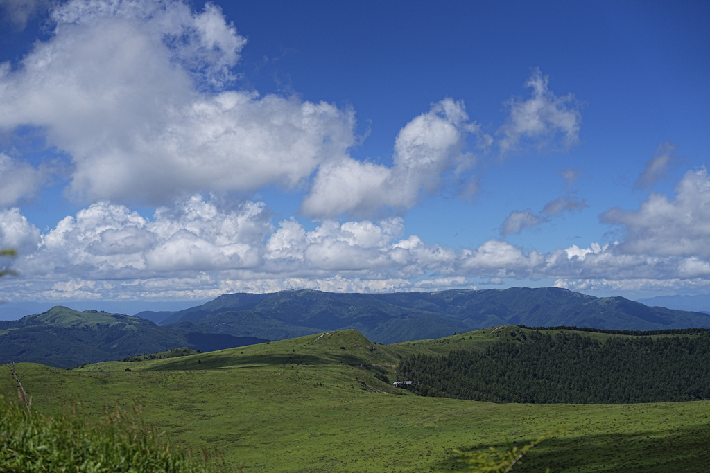 D霧ヶ峰の夏③