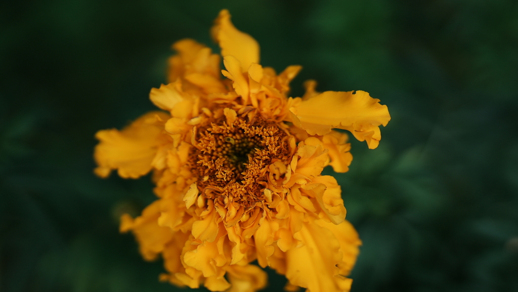 DSC03264