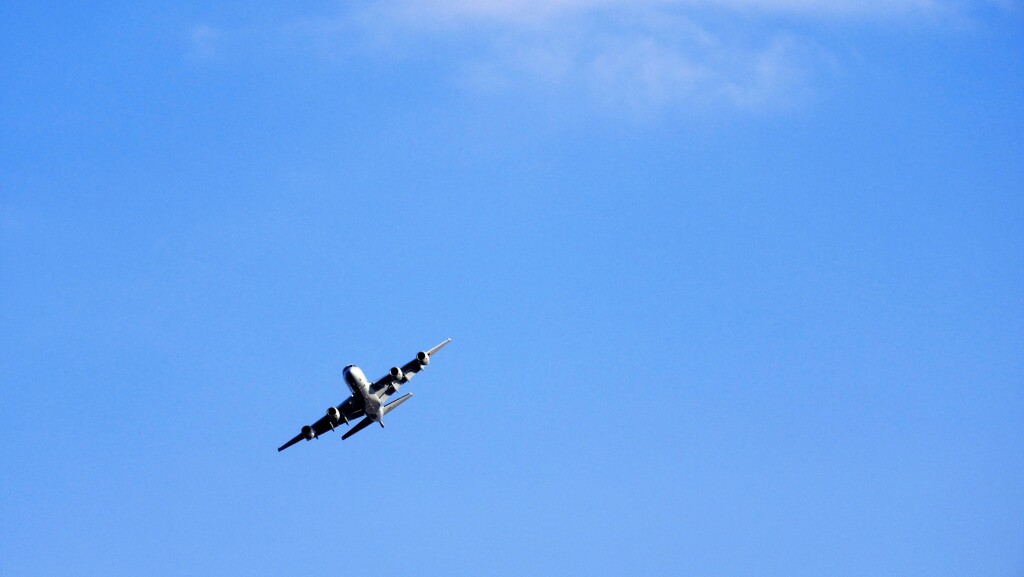 空を飛ぶ