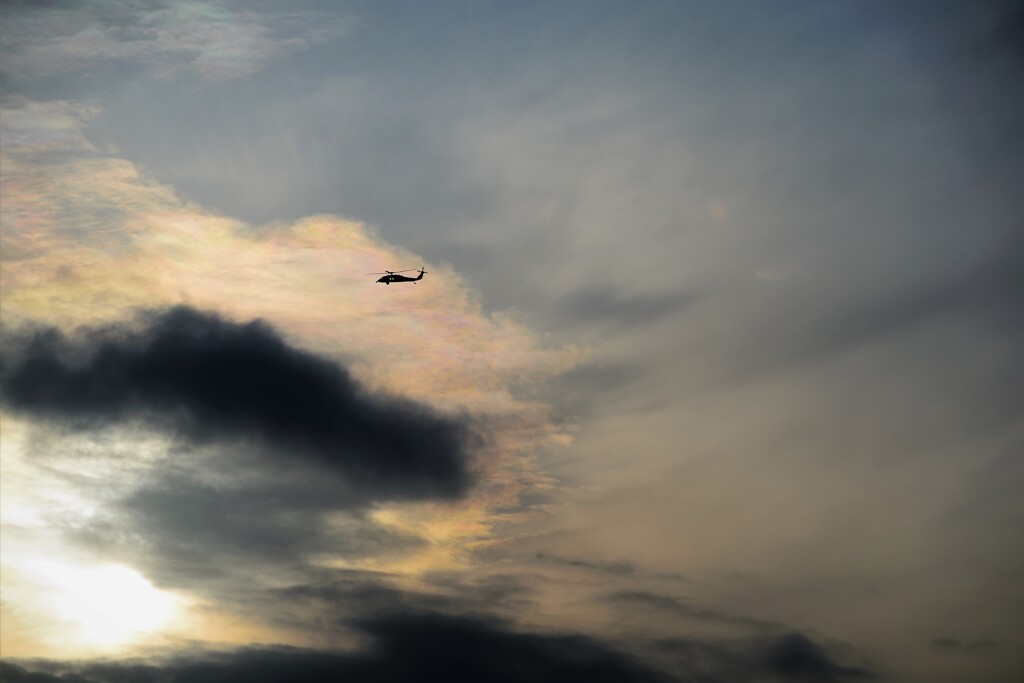 空を飛ぶ