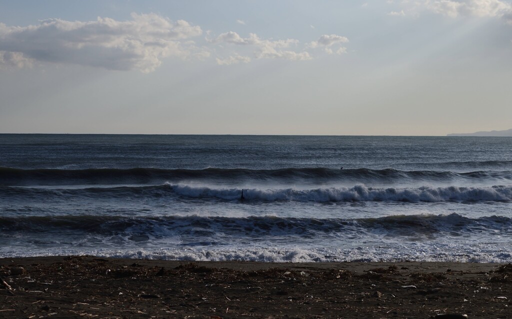 海