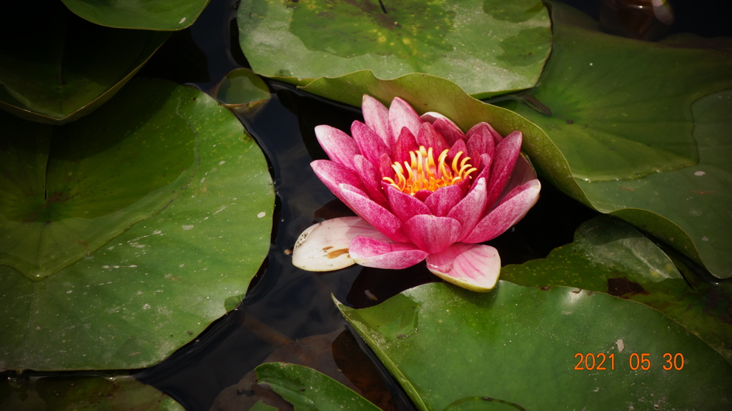 7150210F-C8E0-400A-9242-F1E5D82CE8C3