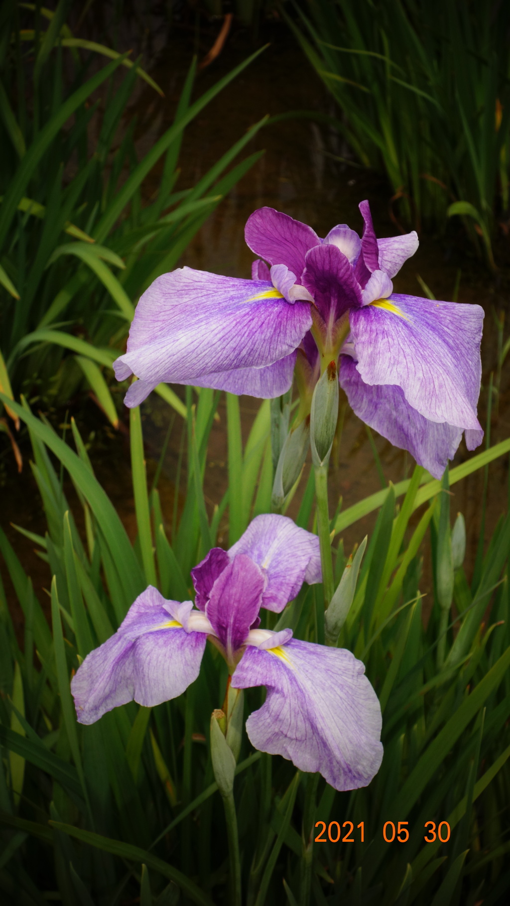 F9D4356F-1DCE-4AC4-90E5-E6263B4E1371