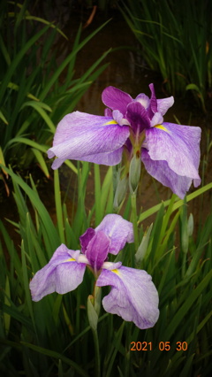 F9D4356F-1DCE-4AC4-90E5-E6263B4E1371