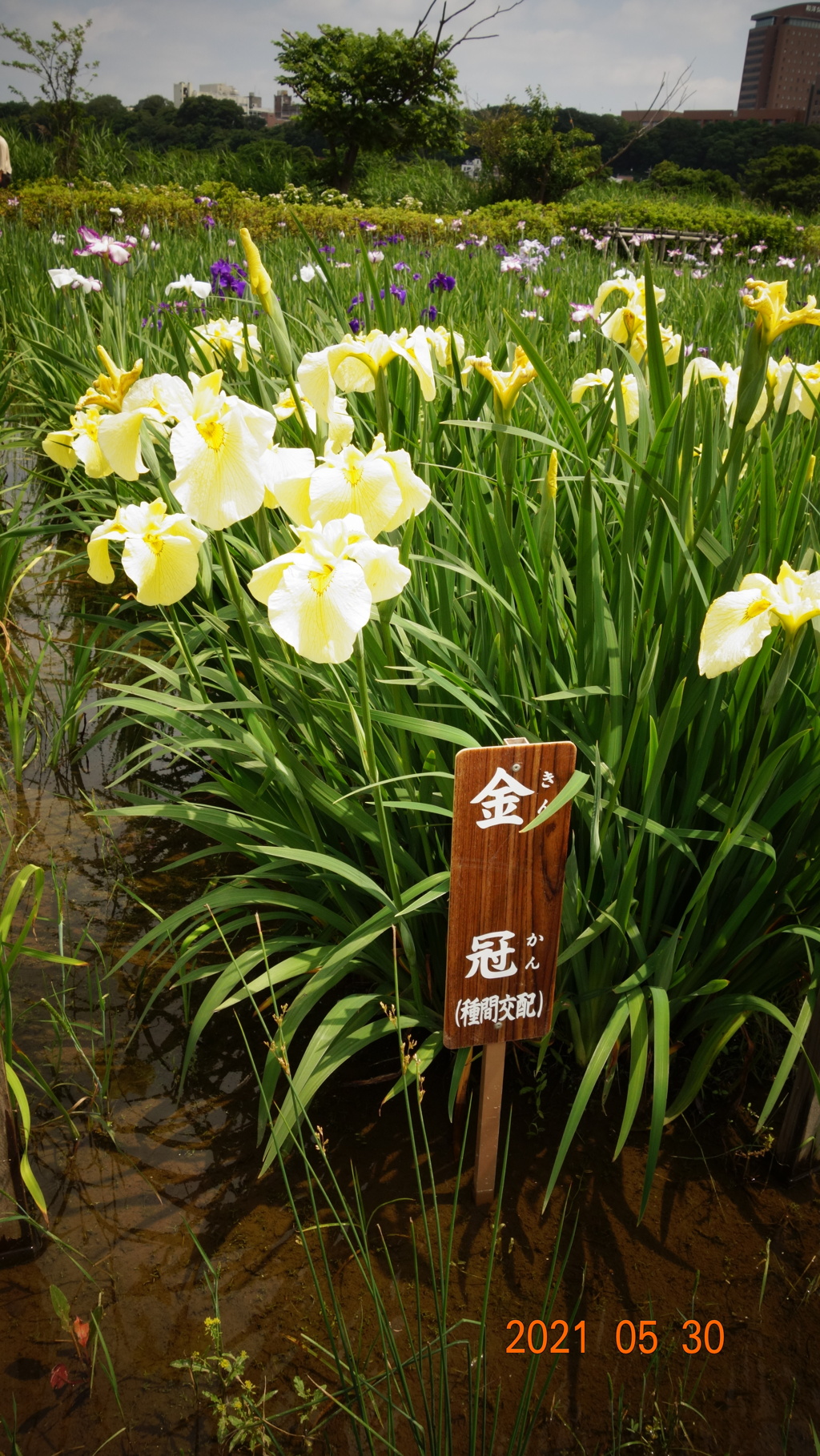 8045B248-40CD-4B8A-B291-EB1FCDCE3DB7