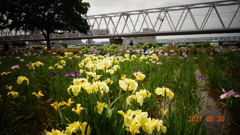 262B92D1-5E56-4604-A977-3078FB2EEB16