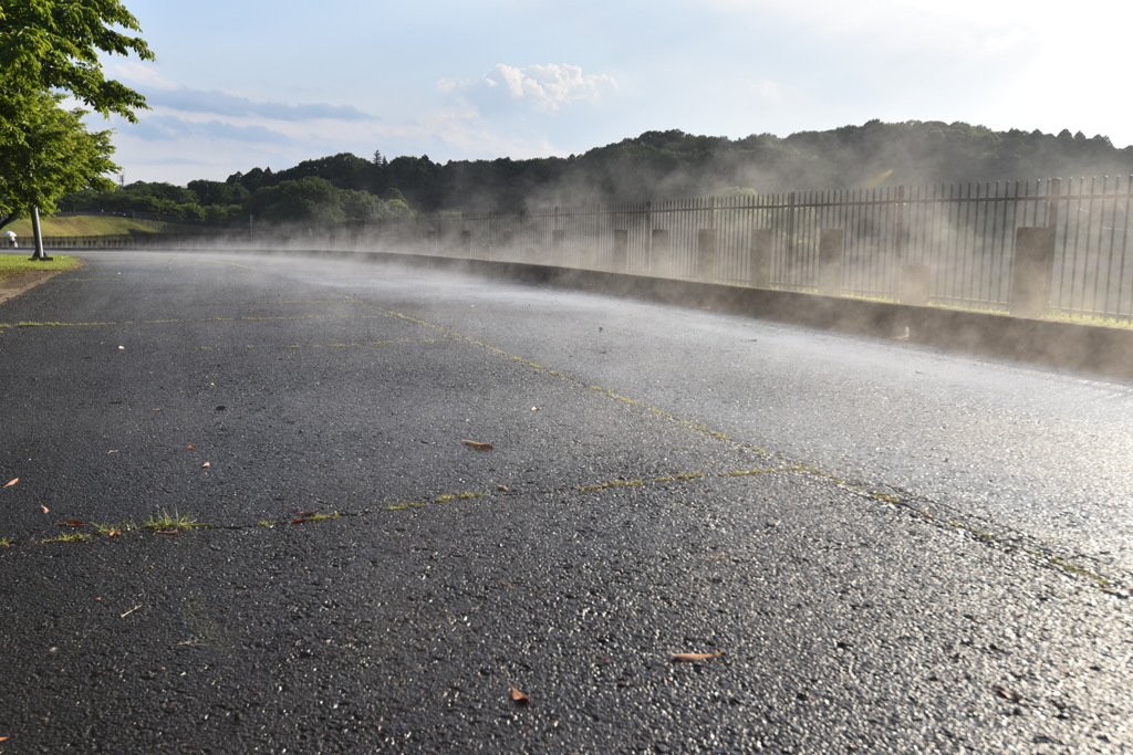 楮川ダム　(茨城県水戸市)
