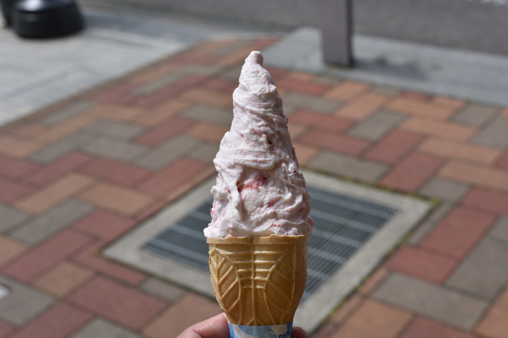 道の駅 もてぎ　(栃木県茂木町)
