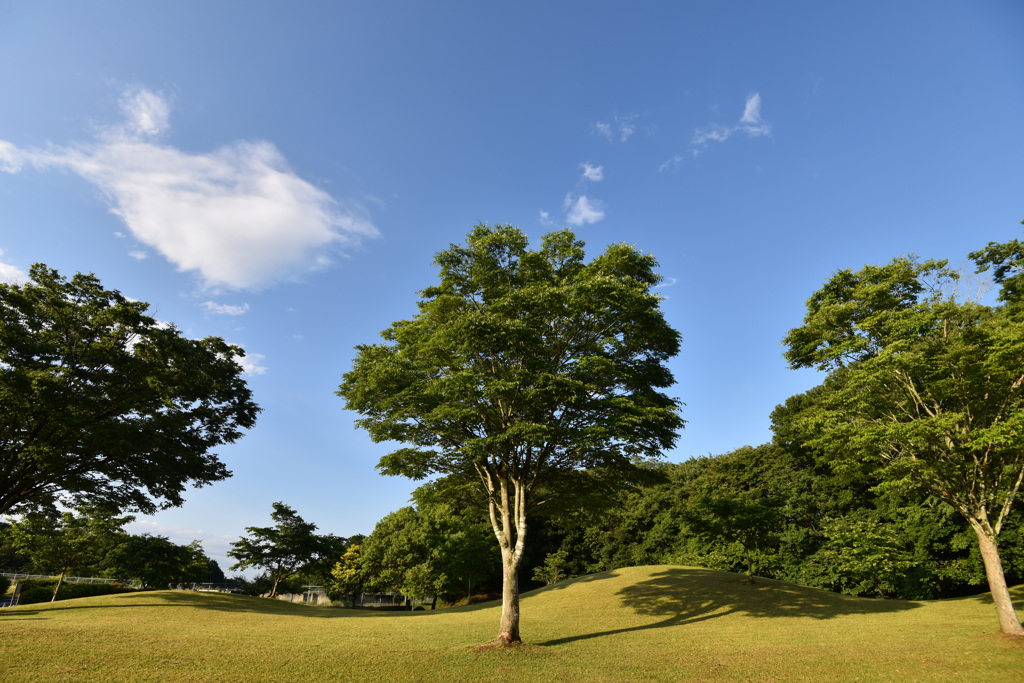 楮川ダム　(茨城県水戸市)