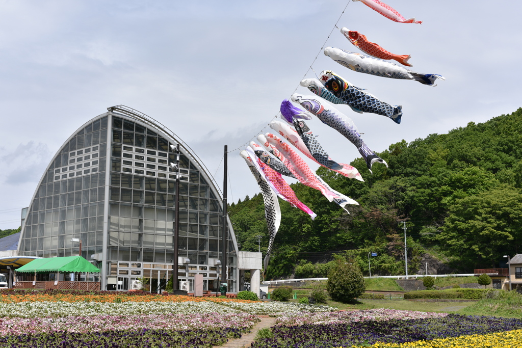 道の駅 もてぎ　(栃木県茂木町)