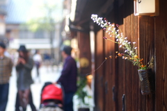 ひがし茶屋街はセンスのかたまり