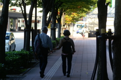 仲睦まじい背中