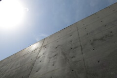 逆光に耐えます