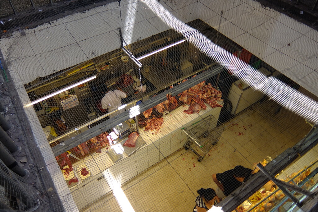 光差す精肉売り場