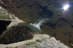 金沢の川の綺麗さ