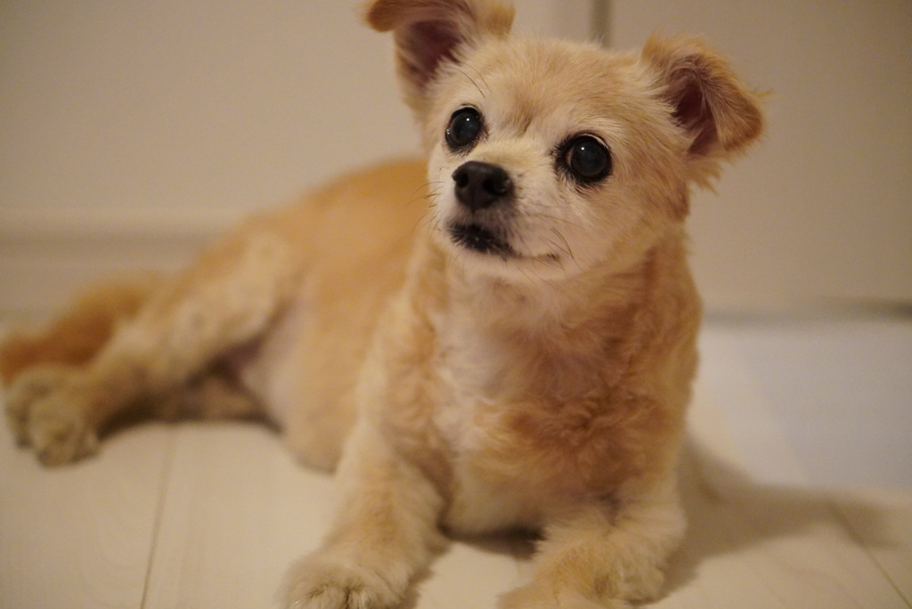 どうしましたか？＾＾