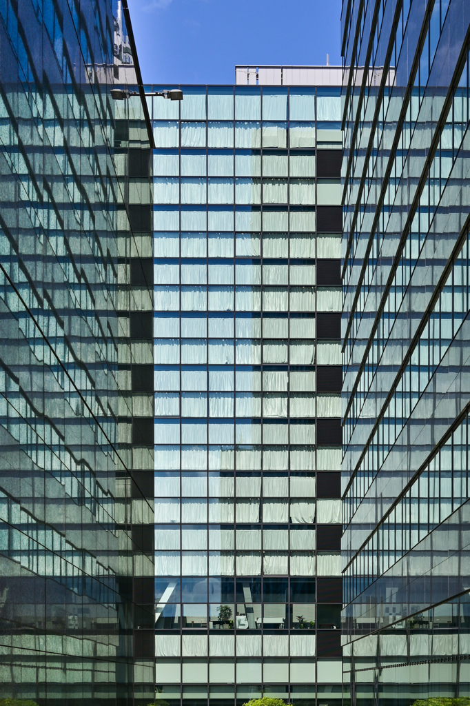 窓・窓・窓