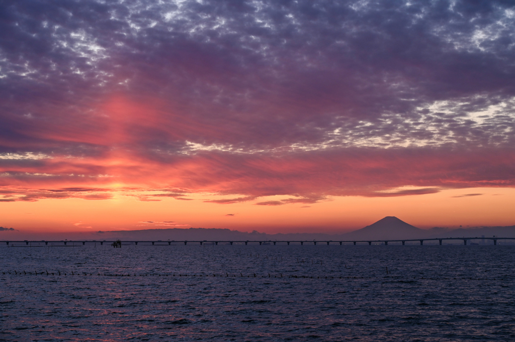 東京湾夕景