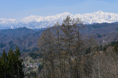 春の小川村