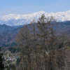 春の小川村