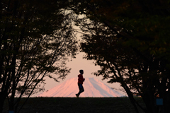 朝焼け富士を背景に