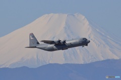 C-130J Hercules / 08-8064