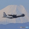 C-130J Hercules / 08-8064