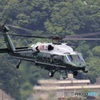 プレジデントホーク　VH-60N (163259)