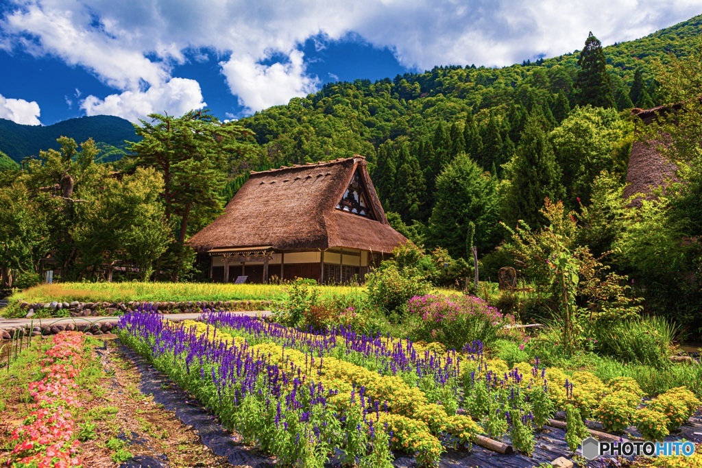岐阜県・夏の白川郷の風景 8