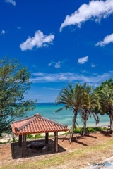 沖縄県・沖縄本島の風景