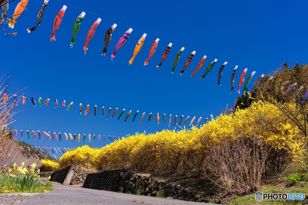 山梨県・春の道の駅南きよさとの風景 2