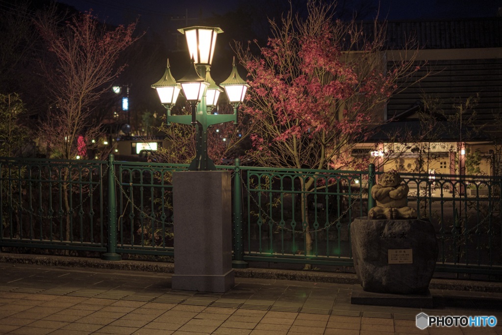 栃木県・鬼怒川温泉の夜景 4