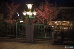 栃木県・鬼怒川温泉の夜景 4