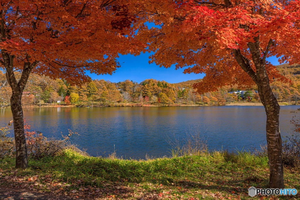 長野県・秋の女神湖の風景 5