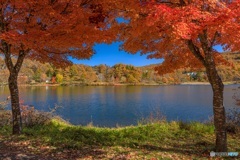 長野県・秋の女神湖の風景 5
