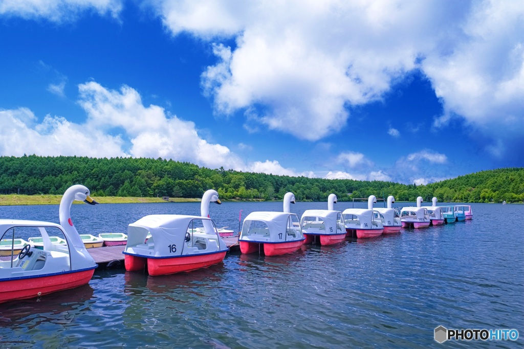 長野県・初夏の女神湖の風景 2