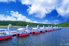 長野県・初夏の女神湖の風景 2