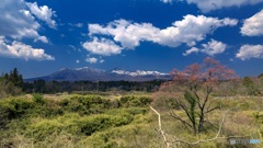 栃木県・那須連山と山桜