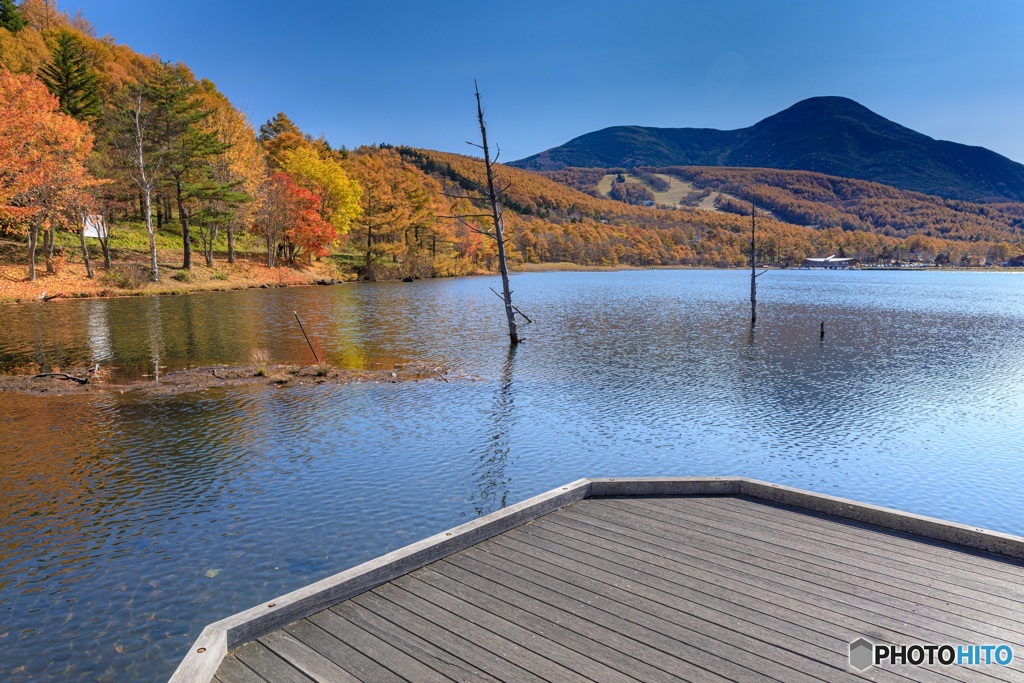長野県・秋の女神湖の風景 12