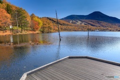 長野県・秋の女神湖の風景 12