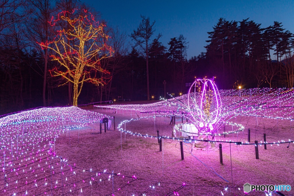 長野県・国営アルプスあづみの公園（大町・松川地区）のイルミネーション 2