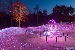 長野県・国営アルプスあづみの公園（大町・松川地区）のイルミネーション 2