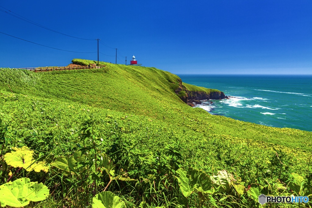 北海道・厚岸町 夏の霧多布岬の風景 4