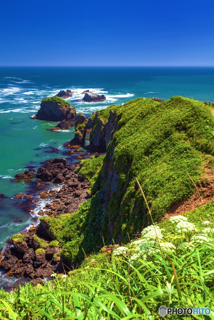 北海道・厚岸町 夏の霧多布岬の風景 6