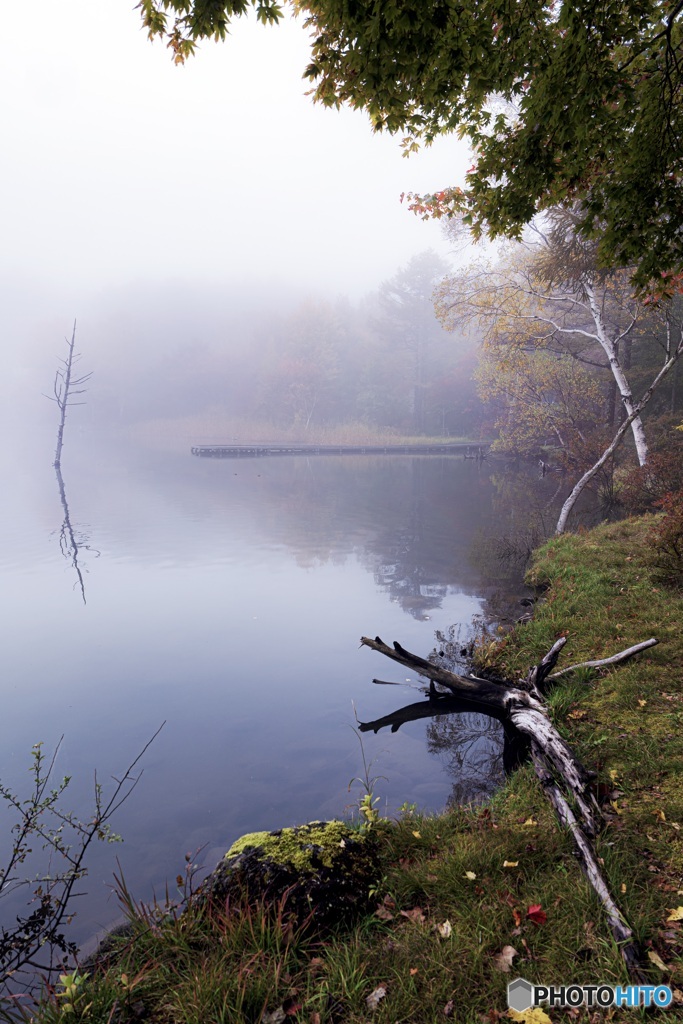 長野県・女神湖の朝霧 4