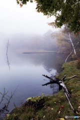 長野県・女神湖の朝霧 4
