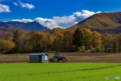 長野県・秋の川上村の風景 10